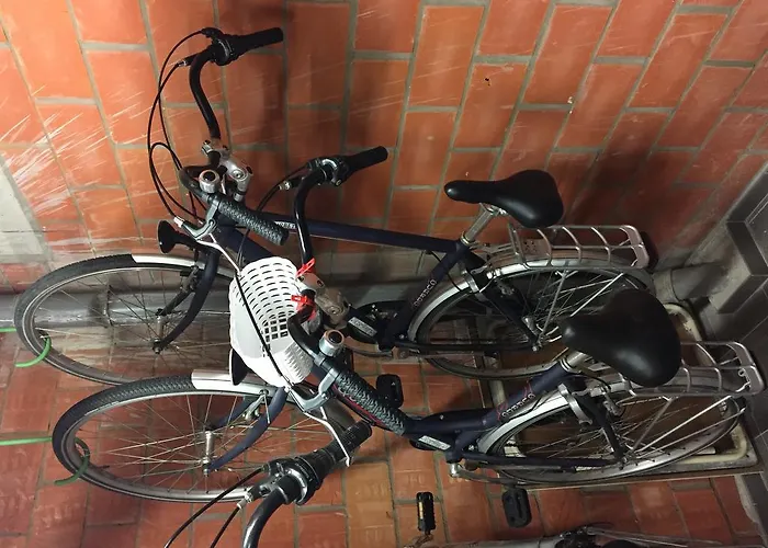 D'este Appartement De Haan